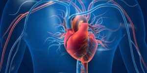 Heart and cardiovascular health